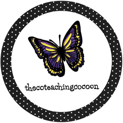 The Co-Teaching Cocoon logo